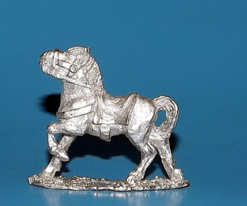 CTH 3 - Horse walking/trotting.