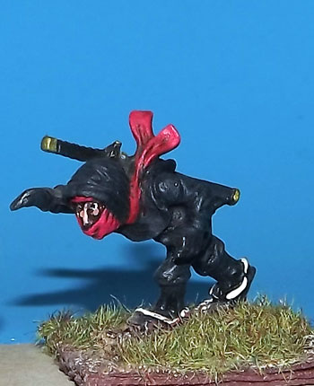 DF69 - NINJA