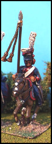 NRT 37 - STANDARD BEARER WITH POLE / TASSELS