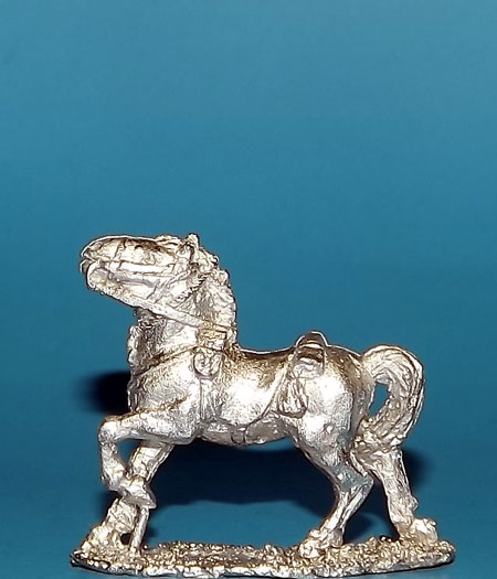 TKH 2 - HORSE, REIGNED IN, HEAD UP