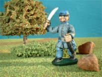 ACW14a Confederate officer