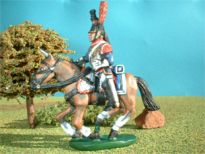 NFC10 Paint type A Cuirassier Trooper 1st Reg